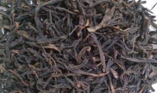 凤凰单枞茶是属于什么茶