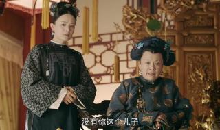 袁春望到底是不是皇子