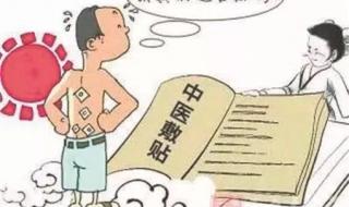 三伏贴的作用与功效