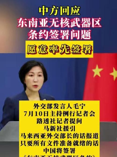 东南亚合作（东南亚合作条约）