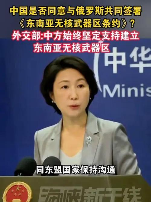 东南亚合作（东南亚合作条约）