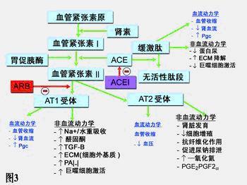 心血管事件链共识（心血管事件分级）