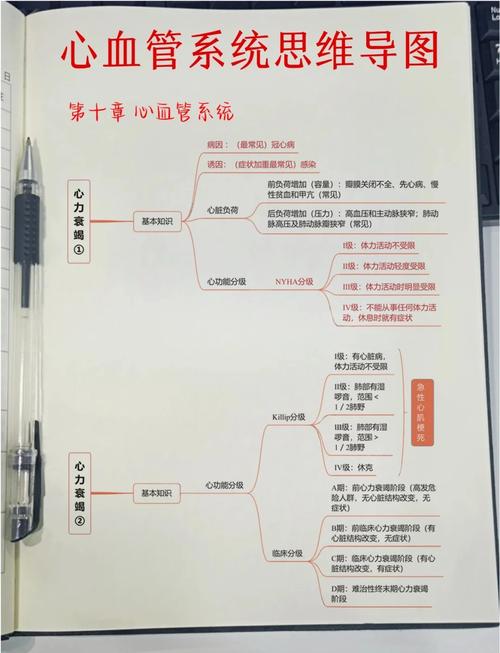 心血管事件链共识（心血管事件分级）