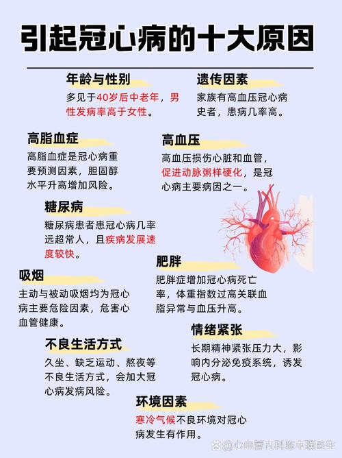 心血管事件链共识（心血管事件分级）