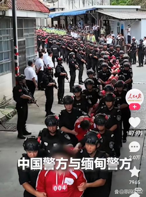 反诈抓捕行动（反诈犯罪）